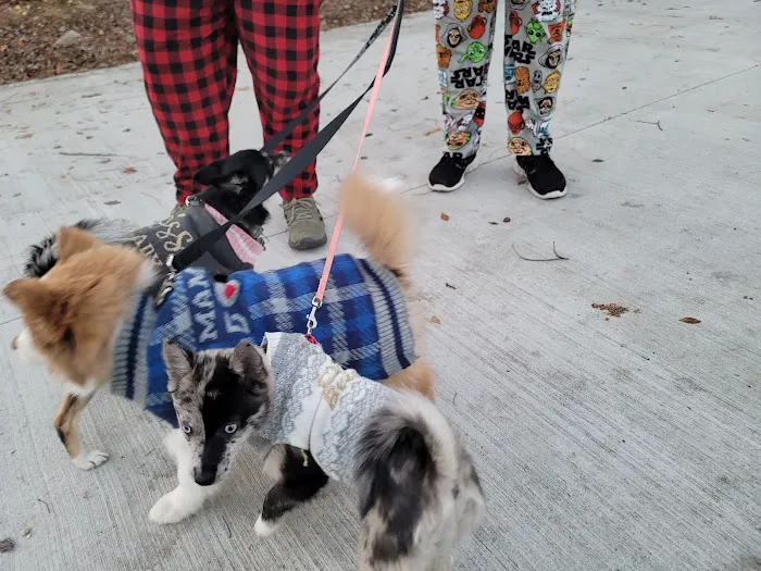 VIP Petcare Vaccination Clinic Picture 5