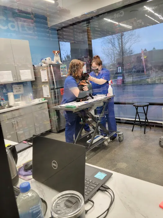 VIP Petcare Vaccination Clinic Picture 3