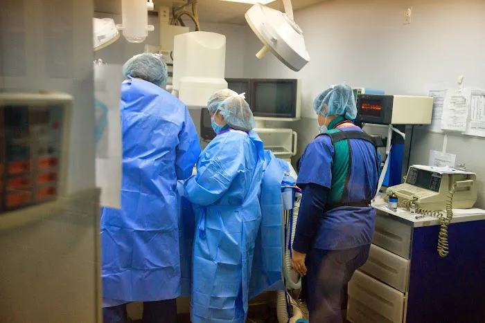 Atlantic Coast New York Veterinary Specialists Picture 10