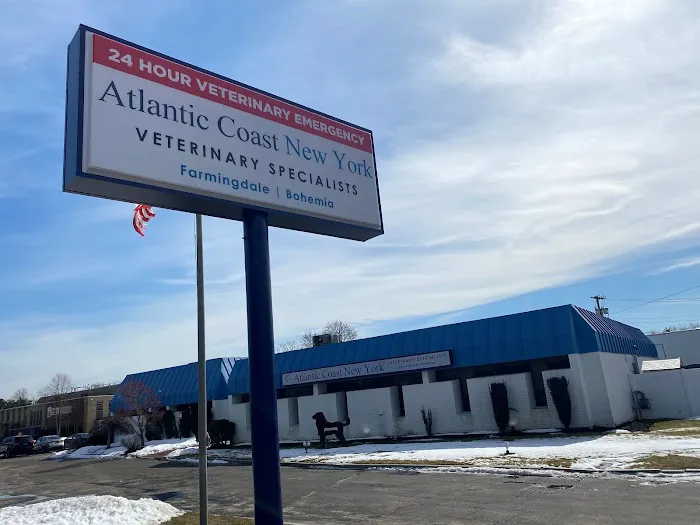 Atlantic Coast New York Veterinary Specialists Picture 3