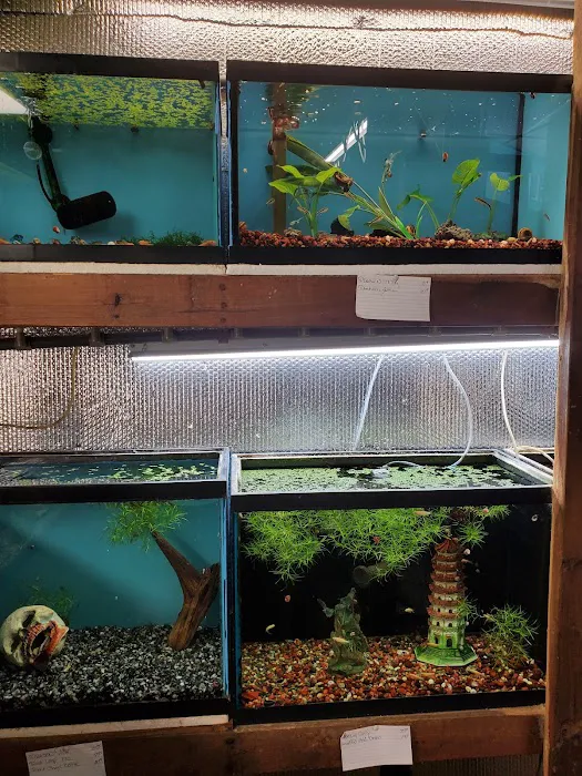 Great Lakes Aquarium House Picture 3
