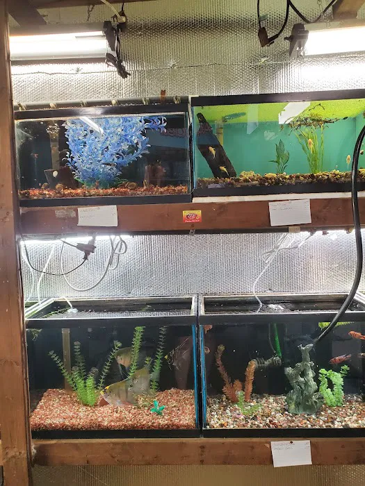 Great Lakes Aquarium House Picture 2