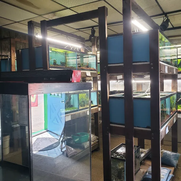 Great Lakes Aquarium House Picture 5