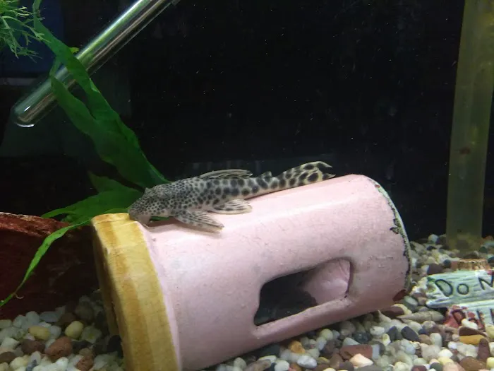 Great Lakes Aquarium House Picture 7