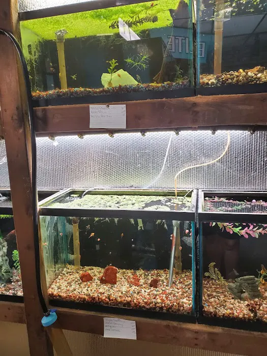 Great Lakes Aquarium House Picture 4