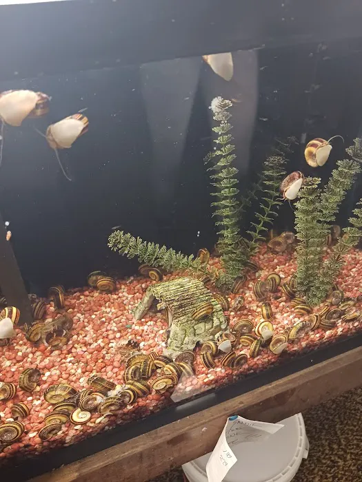 Great Lakes Aquarium House Picture 8