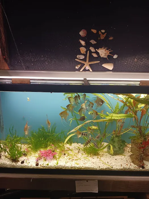 Great Lakes Aquarium House Picture 10