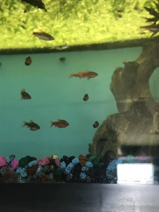 Great Lakes Aquarium House Picture 9