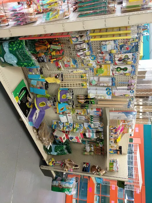 Pet Paradise Picture 5