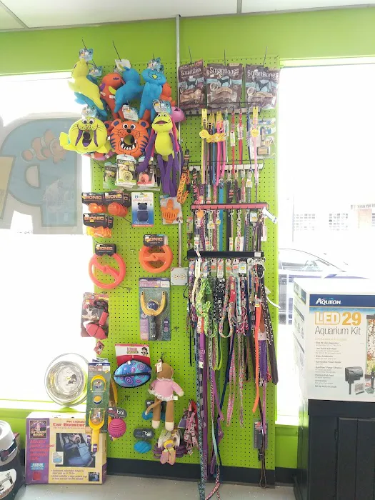 Pet Paradise Picture 6