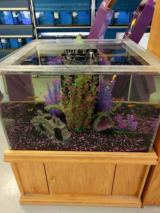 Pet Paradise Picture 2