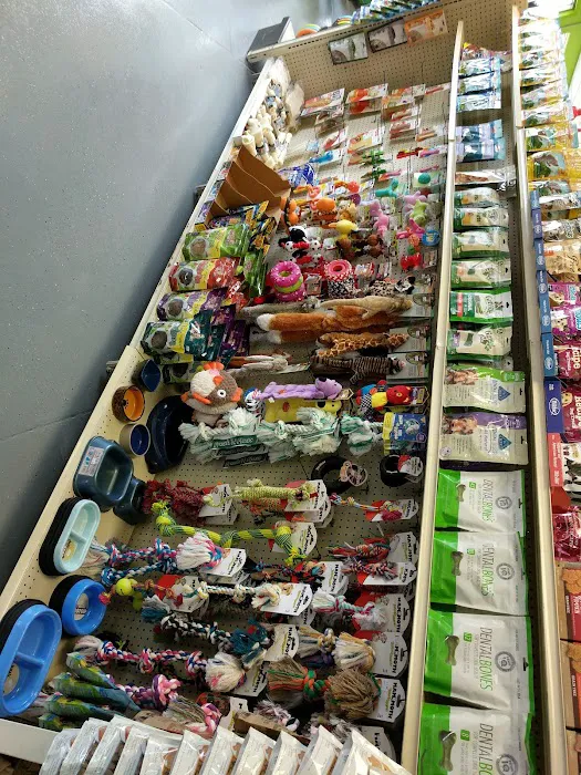 Pet Paradise Picture 3