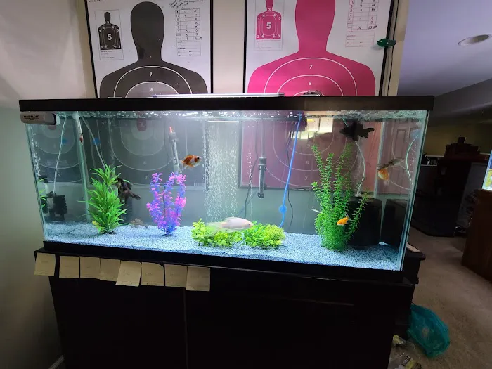 Pet Paradise Picture 1
