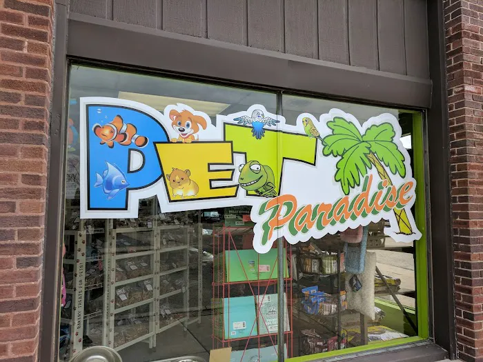 Pet Paradise Picture 8