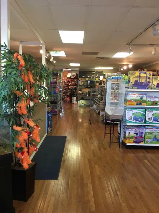 Animal House Pets & Supplies Picture 4