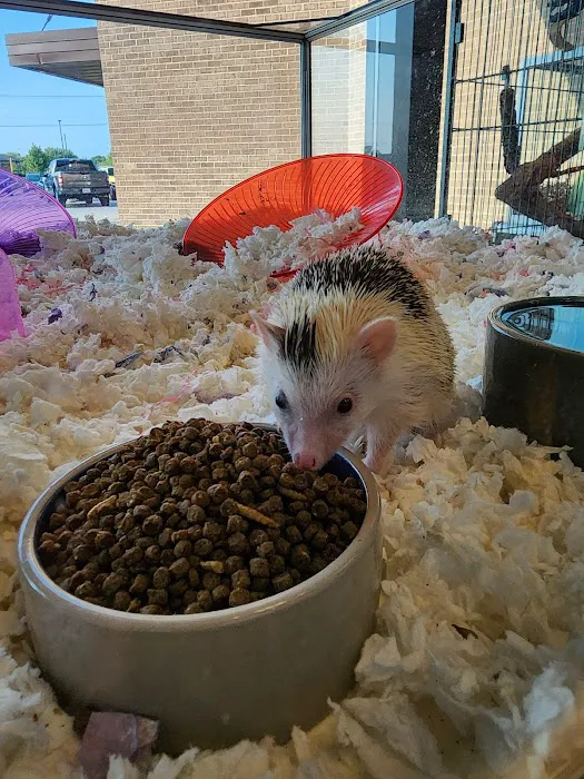 Animal House Pets & Supplies Picture 8