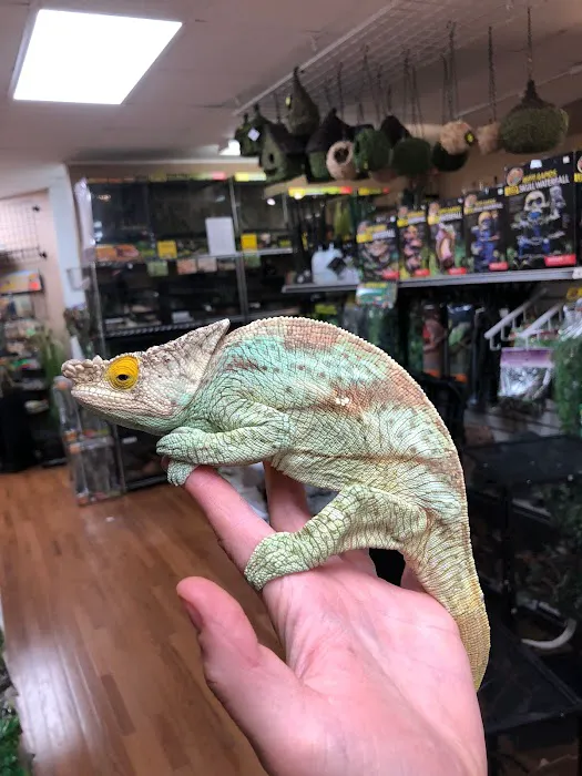 Animal House Pets & Supplies Picture 6