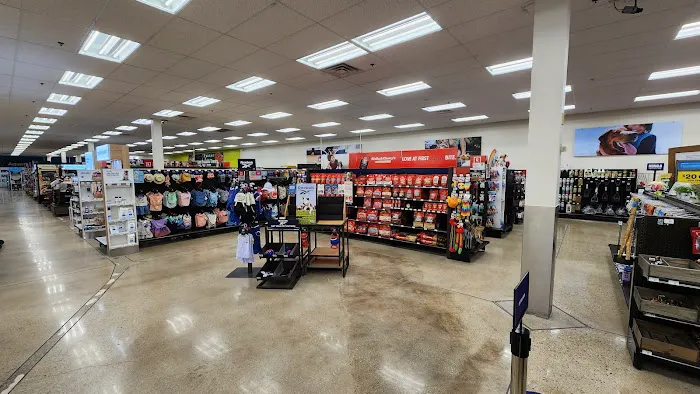 Petco Picture 3