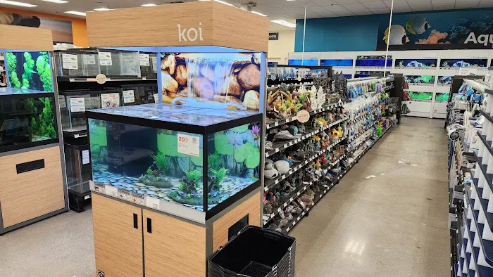 Petco Picture 4