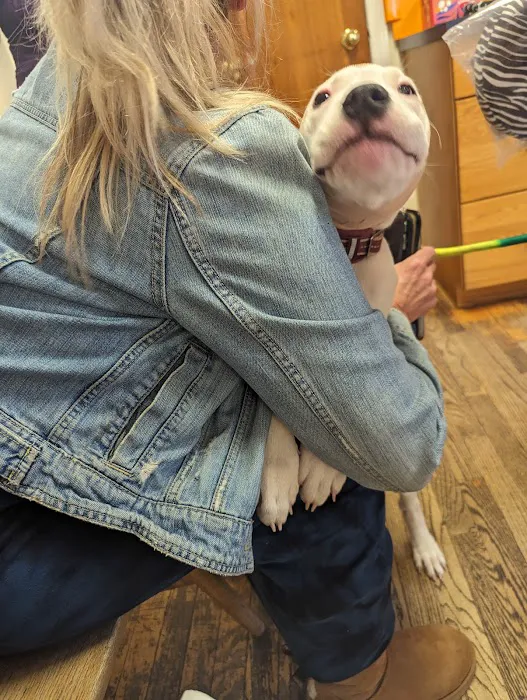 Fitzgerald Veterinary Picture 8