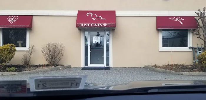 Just Cats Health Care Picture 6