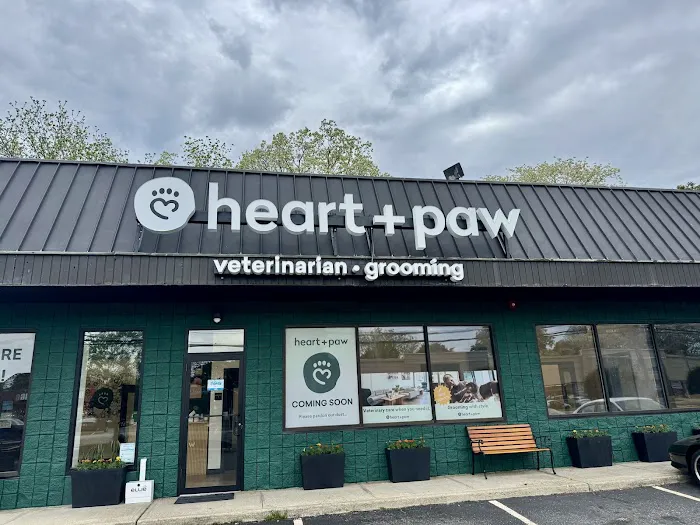Heart + Paw Picture 8
