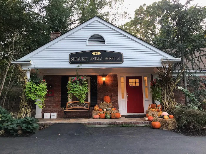 Setauket Animal Hospital Picture 4