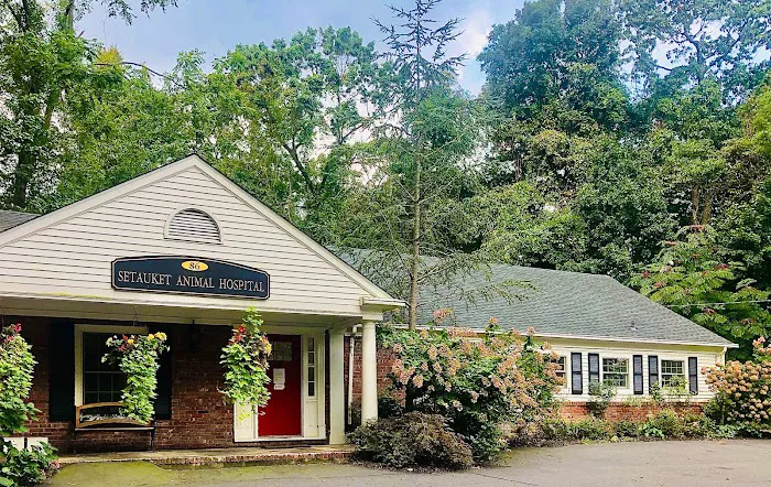 Setauket Animal Hospital Picture 2