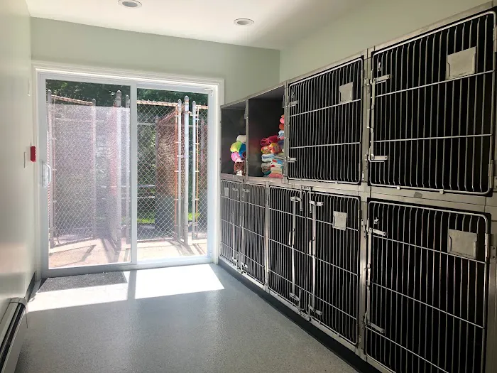 Setauket Animal Hospital Picture 10