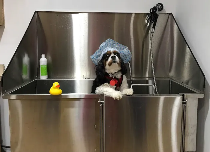 Setauket Animal Hospital Picture 8