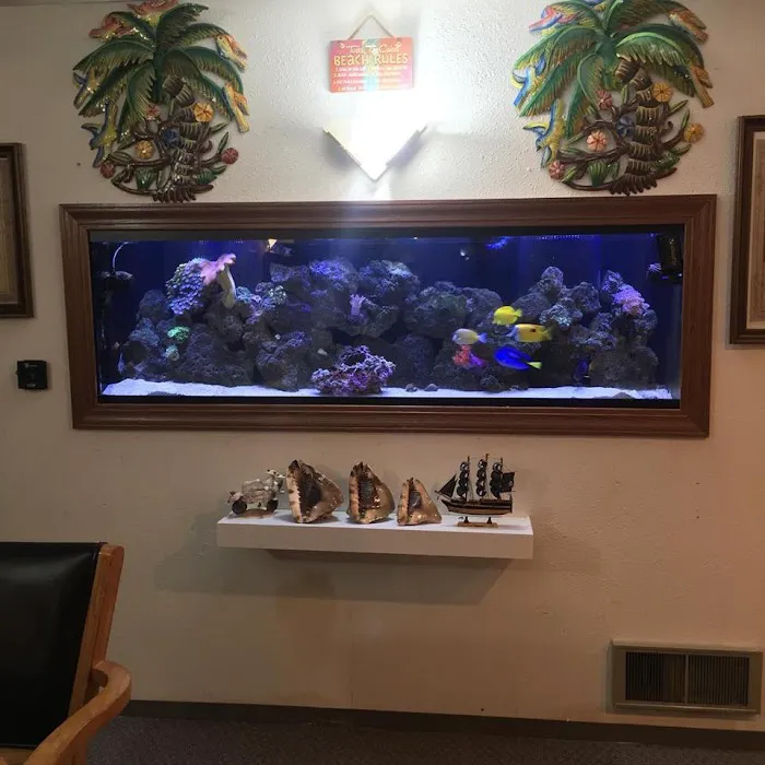 Aquatic Realmz Aquarium Maintenance & Design Picture 4