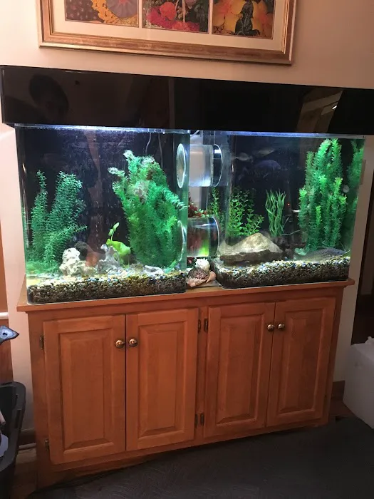 Aquatic Realmz Aquarium Maintenance & Design Picture 6