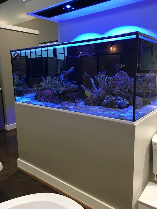 Aquatic Realmz Aquarium Maintenance & Design Picture 5