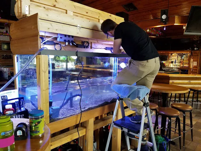 Aquatic Realmz Aquarium Maintenance & Design Picture 1