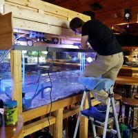 Aquatic Realmz Aquarium Maintenance & Design ico