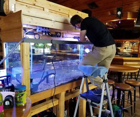 Aquatic Realmz Aquarium Maintenance & Design