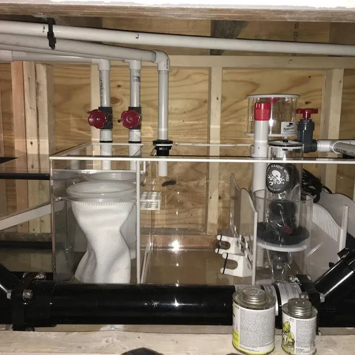 Aquatic Realmz Aquarium Maintenance & Design Picture 8