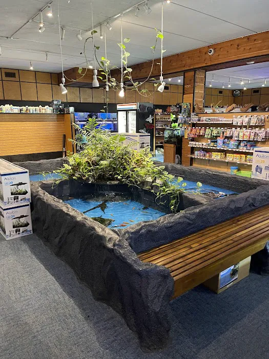 Aquatics Unlimited Picture 4