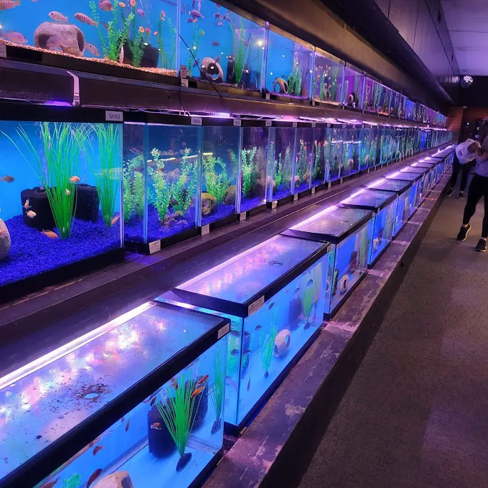 Aquatics Unlimited Picture 9