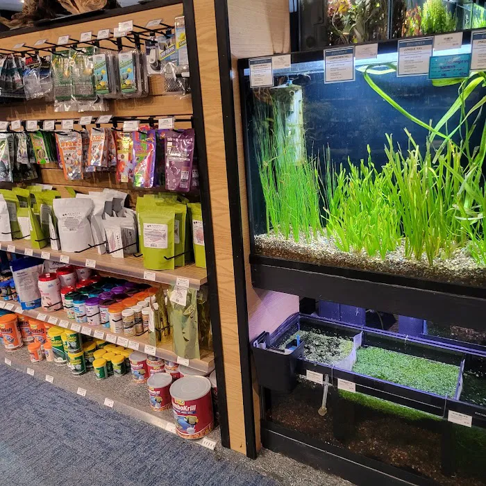 Aquatics Unlimited Picture 10