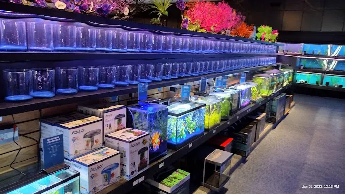 Aquatics Unlimited Picture 6