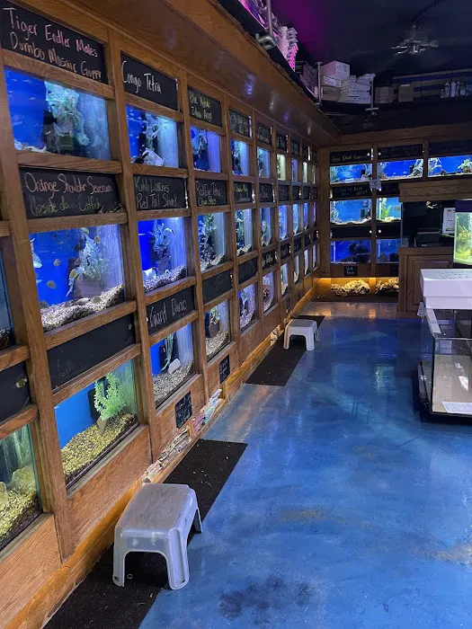 The Fish Factory Picture 3