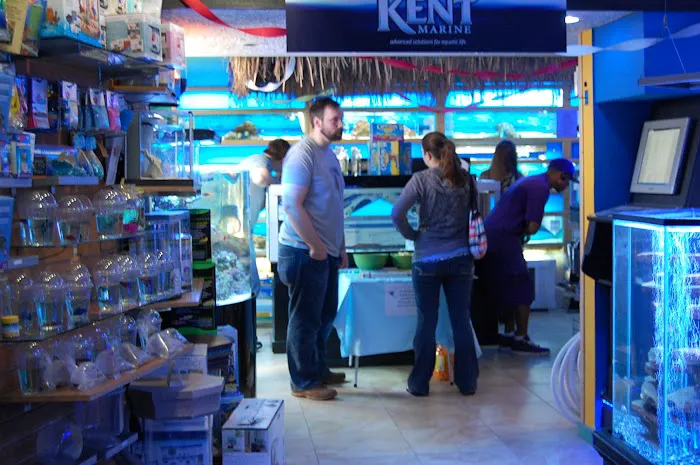The Fish Factory Picture 9