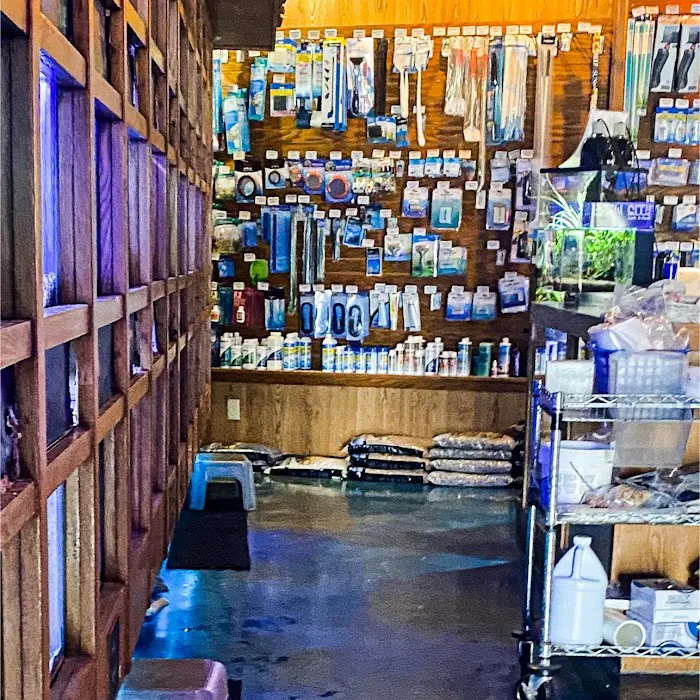 The Fish Factory Picture 5