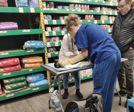 VIP Petcare Vaccination Clinic