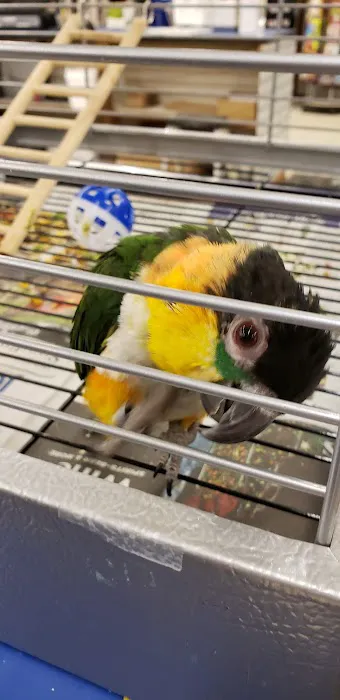 Pet World Warehouse Outlet Picture 8