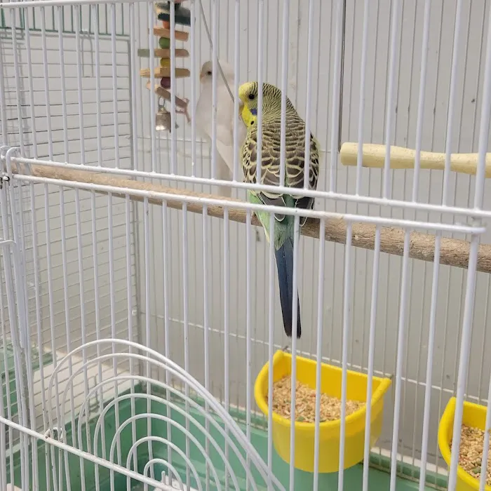 Pet World Warehouse Outlet Picture 6