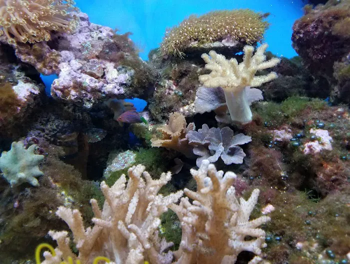 Pet World Warehouse Outlet Picture 9