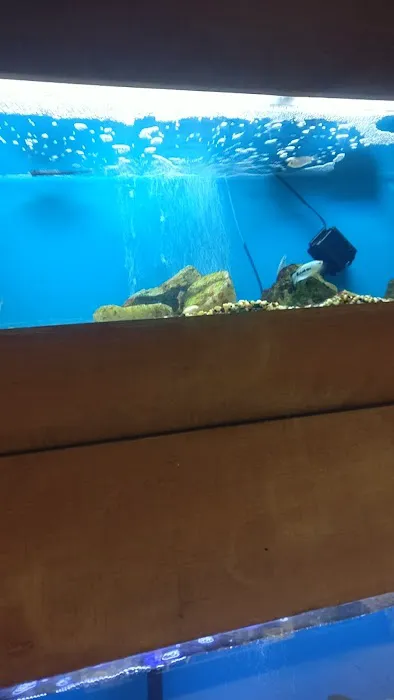 Pet World Warehouse Outlet Picture 7