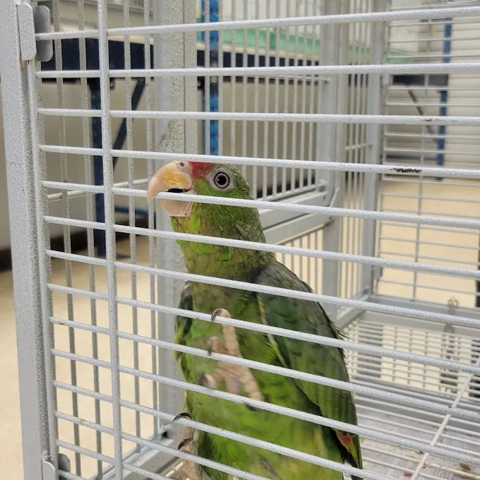 Pet World Warehouse Outlet Picture 5